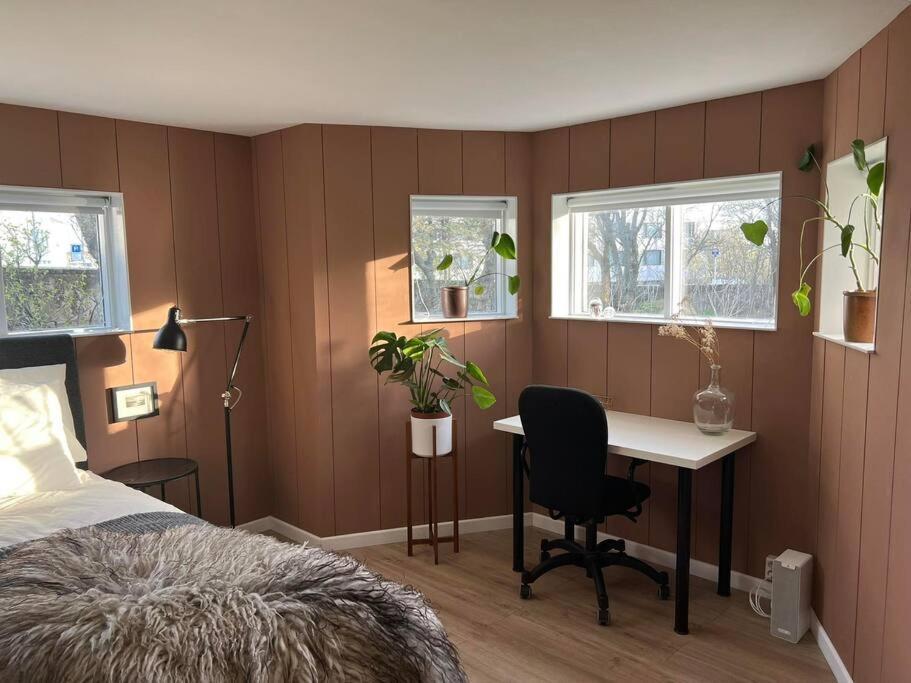 New Cozy Bohemian Dowtown Reykjavik Apartment Eksteriør bilde
